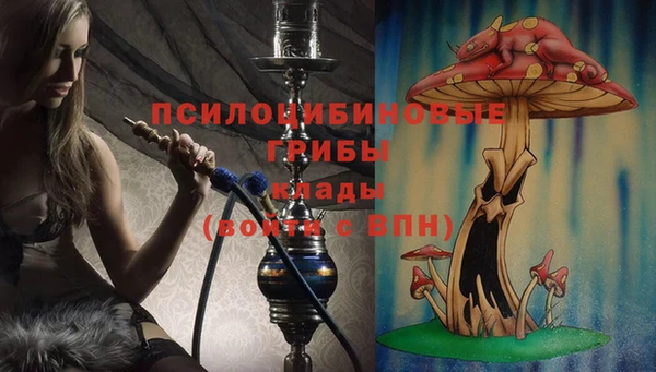 каннабис Богданович