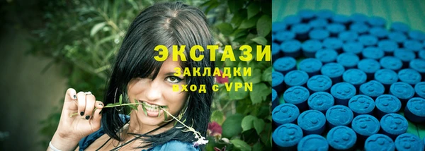 тгк Богородицк