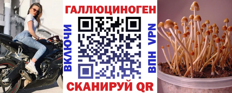 Псилоцибиновые грибы Psilocybe  купить наркоту  Полтавская 