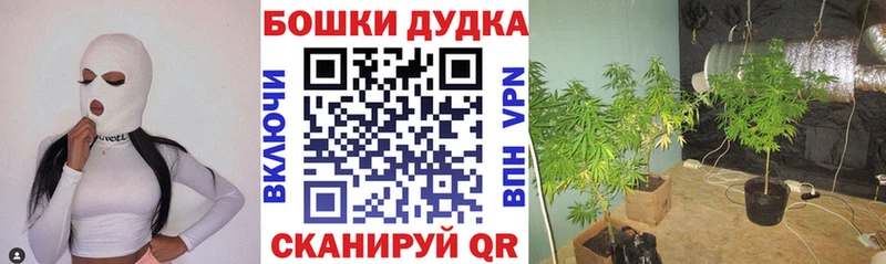 Бошки Шишки тримм  Полтавская 